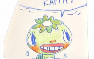kappa - 空叶論