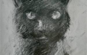 餓えた、黒猫の瞳 - 真鍋哲地