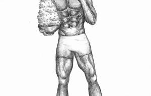 コアラ - 伊藤恵美里