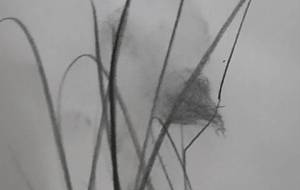 (愛愛闘)アート、鴉、落書き - 真鍋哲地