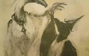 鳥恋、白鳥の(白、はく)と鴉の(天、てん)恋の物語) - 真鍋哲地