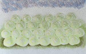 キャベツ畑 - Shino-B(シノビー)