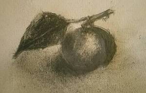 鉛筆デッサン作品、柚子 - 真鍋哲地 