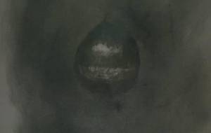 古里温もり栗(古里、お知り合いさんの栗) - 真鍋哲地