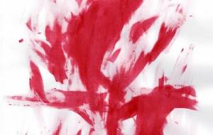 希望と断罪 - 小田飛鳥