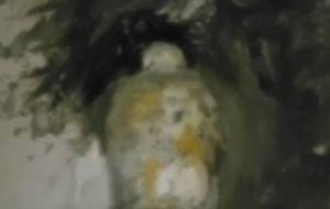 光、揺れてる父さんの肩で(こんなに歳をとって、父さん) - 真鍋哲地