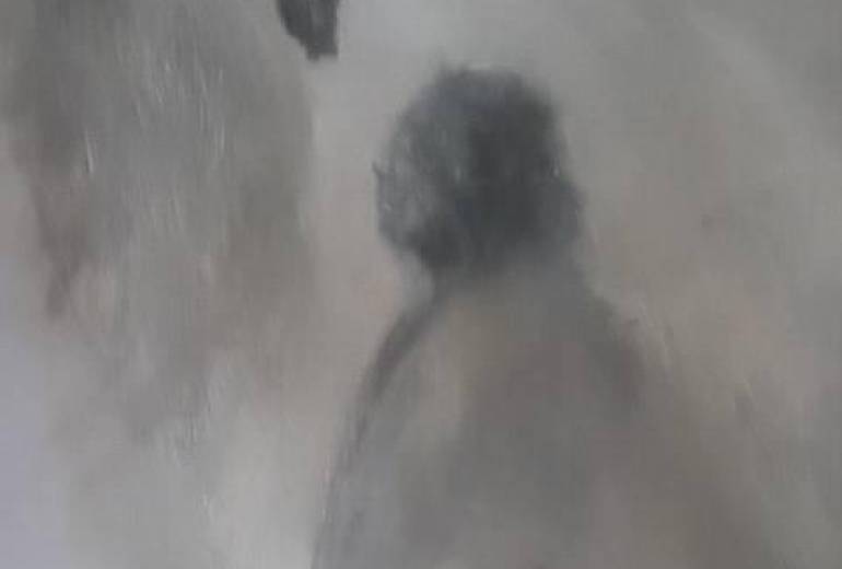 母さん祝福の白鳥とので愛い！（木漏れび）