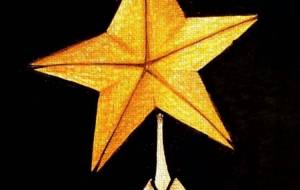 星の子 - 黒越瑠香