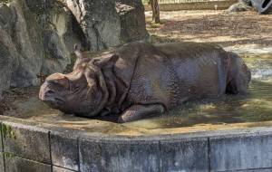 寝なサイ - 宇宙くらげ