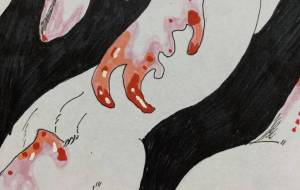 金魚竜 - 三日月