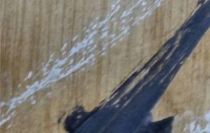 涙、波、嬉しくてありがとう - 真鍋哲地