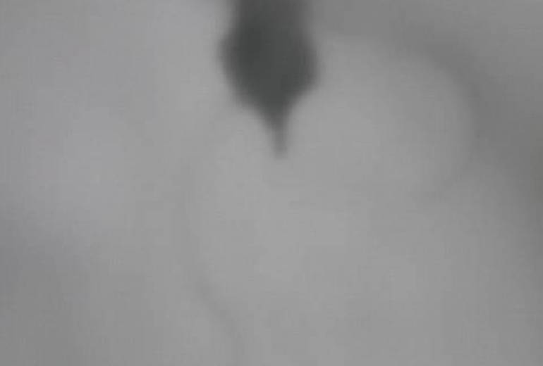 飛来、真鍋！（今度は11月位に逢いましょう）