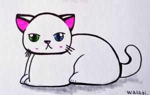 オッドアイの白ねこ - wasabi