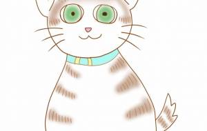 短いしっぽの猫 - 神楽月すう