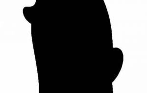 マッコウクジラ - シマハイエナ