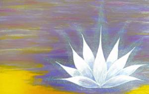 醒蓮 - ☆ acco・Lemuria ☆