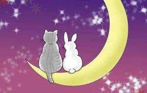 9月のヒスイそしてウサギ。 - 羽津美由紀