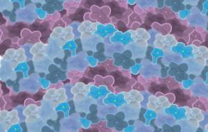 アジサイ - 工房はんど あけ