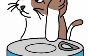 猫メシです。 - しずく