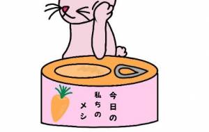 うさぎメシです。 - しずく