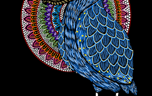 ハシビロコウ・夜空 - あんじゅ