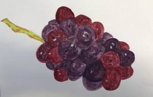 ぶどう。 - GENTIL