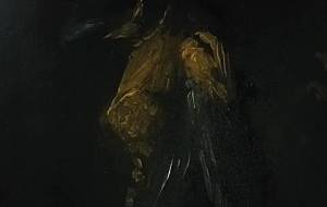 投影女神レイブン(投影症候群ファンタジー女神レイブン) - 真鍋哲地