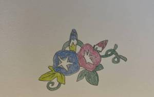 朝顔 - 柳田城治