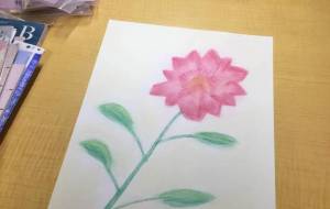 赤い花 - 雪だるま