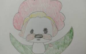 咲いた!咲いた! - ゆっこ