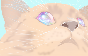 輝く未来 - ダイヤモンドリリー