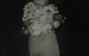 花と鬼イグアナ(僕の夢の世界、耽美なる世界) - 真鍋哲地