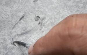 一人で想像力したり、描いたり僕の孤独な夢の世界 - 真鍋哲地