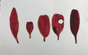 葉っぱ4。 - GENTIL