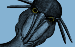 ひょっこりなハシビロコウ - あんじゅ