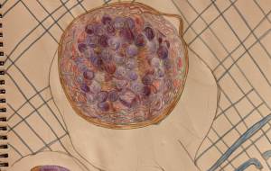 美味しいジャムの出来上がり。 - まる