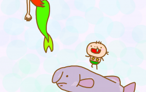 ニュウドウカジカとの時間 - わきっちょ