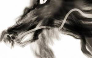 辰年2024 - 相田朋子