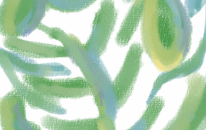 観葉植物 - まかろんちゃん