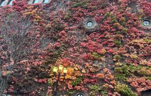 小さい秋見つけた - 笹谷正博