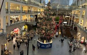 ツリー - 笹谷正博