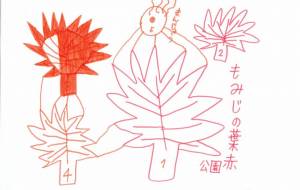 紅葉公園 - ツバサ
