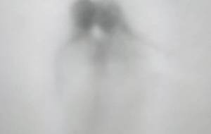 東日本大震災、恋人たちの霊(愛は死滅しない) - 真鍋哲地