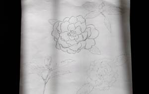 晴女の微笑 - 明紅葉