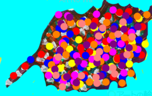 カナラハヤ - 笹谷正博