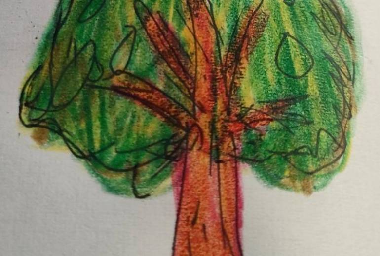 冬だって乗り越える木