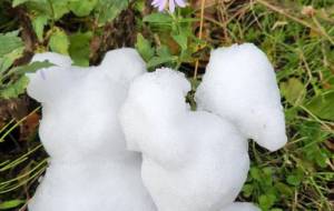 秋から冬へ… - naomi