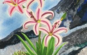 岩山の中にゆり花 - 赤﨑ゆみ子