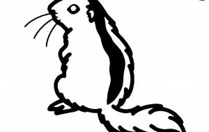 ニホンヤマネ - シマハイエナ