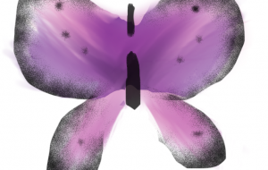 蝶々 - もりの さくら